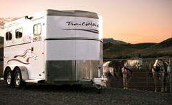 We Sell Horse Trailers